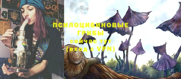 дурь Покровск