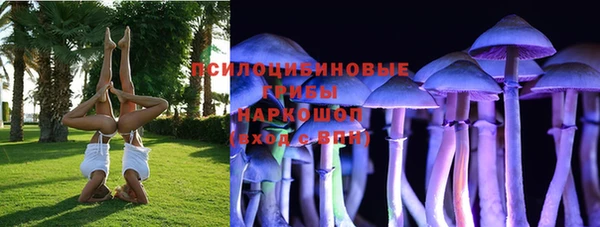 дурь Покровск